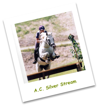 A.C. Silver Stream